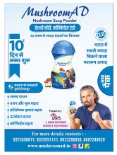 Mushroom Soup Powder