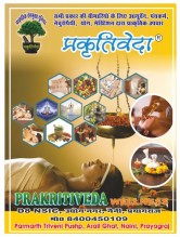 Prakritiveda Wellness